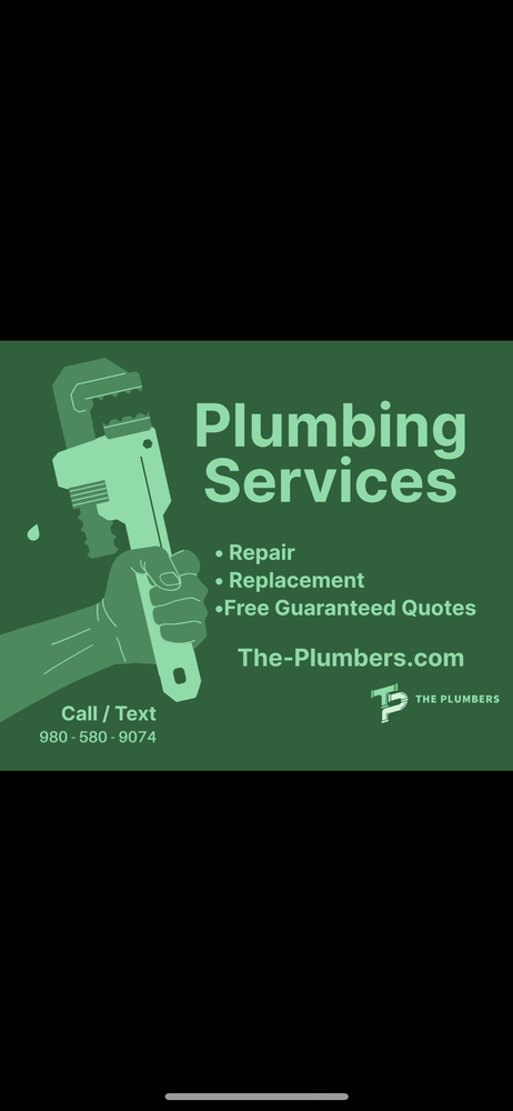 Slide of The Plumbers