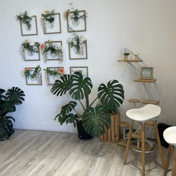 Plants and Juice Bar - Juice Bars & Smoothies Near Me - Rohnert Park, California Plants and Juice Bar - Juice Bars & Smoothies Near Me - Rohnert Park, California