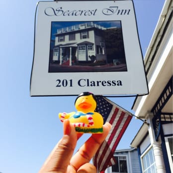 Seacrest Inn - Rubber ducky as a gift!! - Hotels Near Me - Avalon, California Seacrest Inn - Rubber ducky as a gift!! - Hotels Near Me - Avalon, California