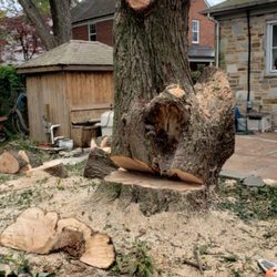 Machado Landscaping & Tree Services - In the proses