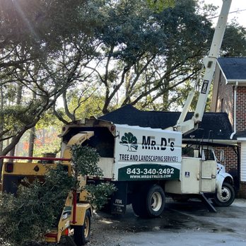 Mr D's Tree & Landscaping Service - a man on a cherry picker - Firewood Near Me
