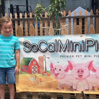 SoCalMiniPigs - Pet Breeders Near Me - Valley Center, California