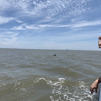 Dolphin Magic Tours - Tours Near Me - Savannah, Georgia