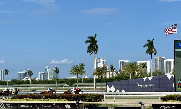 Gulfstream Park Racing by null