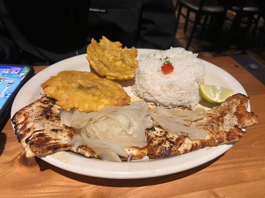 Havana's Cuban Cuisine by null