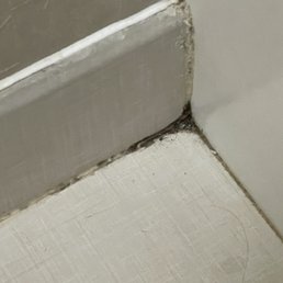 Mold and dirt on floor