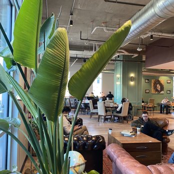 Bennu Coffee - Indoor seating - Coffee & Tea Near Me - Austin, Texas