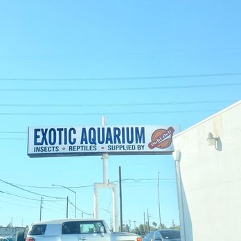 Exotic Aquarium - Don't let it fool you it's a grower foo - Local Fish Stores Near Me - Sacramento, California Exotic Aquarium - Don't let it fool you it's a grower foo - Local Fish Stores Near Me - Sacramento, California