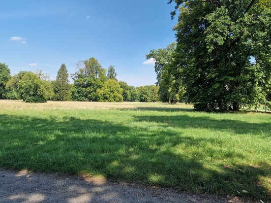 Sanssouci Park by null