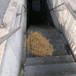 R & S Parkservice Tiefgarage am Hauptbahnhof - Warum liegt hier Stroh?