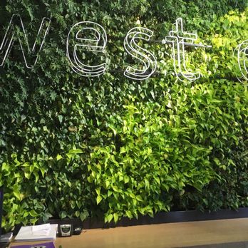 west elm - Home Decor Near Me - Durham, North Carolina