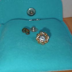 Lucky Rosedale Beauty Supplies - Falsely advertising stainless steel Earrings