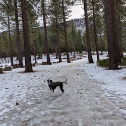 High Meadow Trailhead