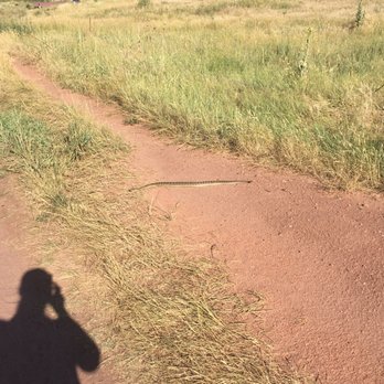 South Valley Park - Good sized rattlesnake 8-18-2016 - Hiking Near Me - Littleton, Colorado South Valley Park - Good sized rattlesnake 8-18-2016 - Hiking Near Me - Littleton, Colorado