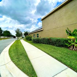 Elite Lawn Care Services - Grass and bushes looking good!
