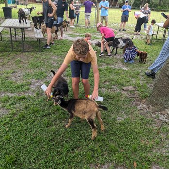 Oak Aged Farm - Petting Zoos Near Me - St. Cloud, Florida