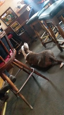 Sully's Snow Goose Saloon by null