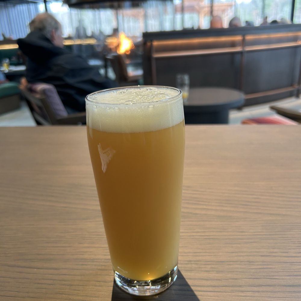 TreeHouse Brewing - Double IPA - Breweries Near Me - Saratoga Springs, New York TreeHouse Brewing - Double IPA - Breweries Near Me - Saratoga Springs, New York