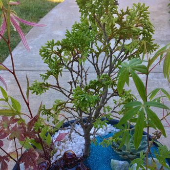 Carman's Nursery - Nurseries & Gardening Near Me - Gilroy, California