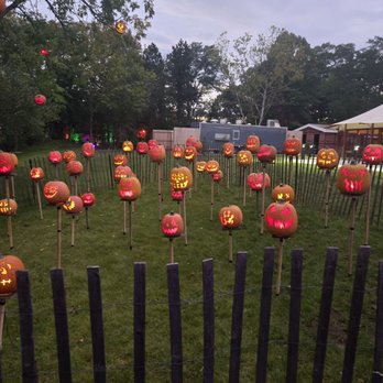 Jack-O-Lantern Spectacular - Festivals Near Me - Providence, Rhode Island Jack-O-Lantern Spectacular - Festivals Near Me - Providence, Rhode Island
