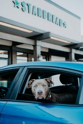 Starbread Bakery by null