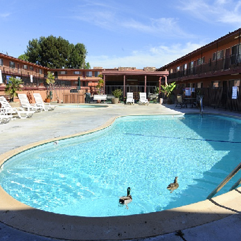 Premier Apartments - Pool View - Property Management Near Me - Lomita, California Premier Apartments - Pool View - Property Management Near Me - Lomita, California