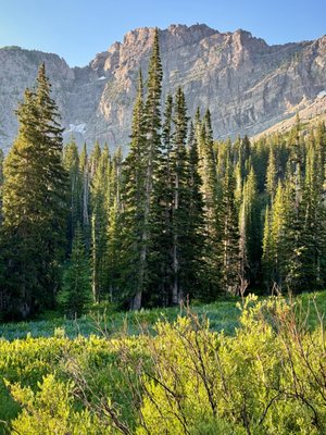 Alta Ski Area by null