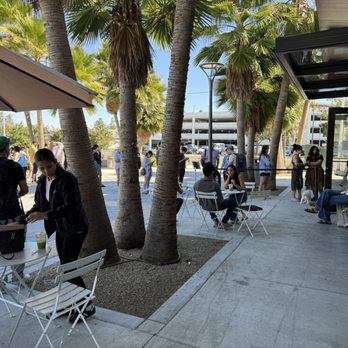 Academic Coffee - Plenty of outdoor seating - Coffee & Tea Near Me - Santa Clara, California Academic Coffee - Plenty of outdoor seating - Coffee & Tea Near Me - Santa Clara, California