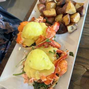 Café Luna - lobster eggs benedict - Coffee & Tea Near Me - Cambridge, Massachusetts