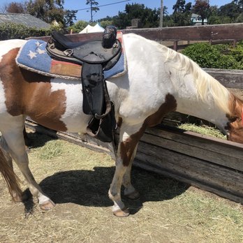Ricochet Ridge Ranch - Rupert (sorry if I misspelled) is who I was paired with - Tours Near Me - Fort Bragg, California