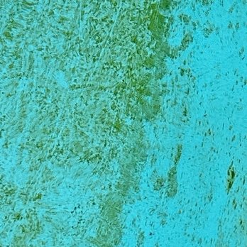 BeachBox Vacation Rentals - algae all over the pool - Vacation Rentals Near Me - Galveston, Texas