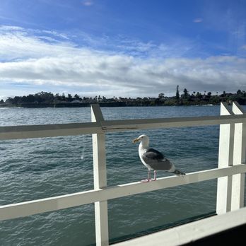 Firefish Grill - The view - New American Near Me - Santa Cruz, California Firefish Grill - The view - New American Near Me - Santa Cruz, California