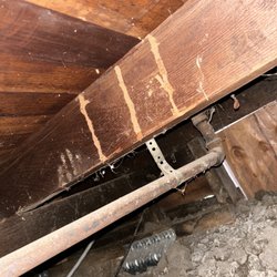Asap Repairs Handyman - Sub termites