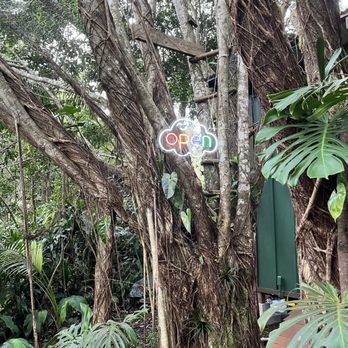 Kona Cloud Forest Sanctuary - Entrance - Walking Tours Near Me - Kailua-Kona, Hawaii