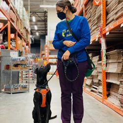 Feet & Paws - Private Puppy Training with Feet & Paws. Find out more https://feetandpaws.com/private-dog-training-in-eugene-oregon/