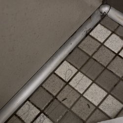 LA Fitness - This was earlier this month, MORE WORMS! I picked up a pile of paper to throw away and bunch of worms where scurrying around. Ewwww!