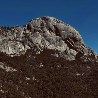 Sequoia National Forest by null