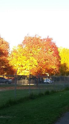 Hampden Heights Park by null