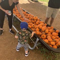 Denver Downs Farm - Fun hands on for toddlers