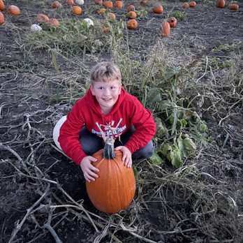 Dehn’s Pumpkin Patch - Pumpkin patch - Pumpkin Patches Near Me - Dayton, Minnesota