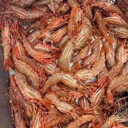 Wanli Seafood Market
