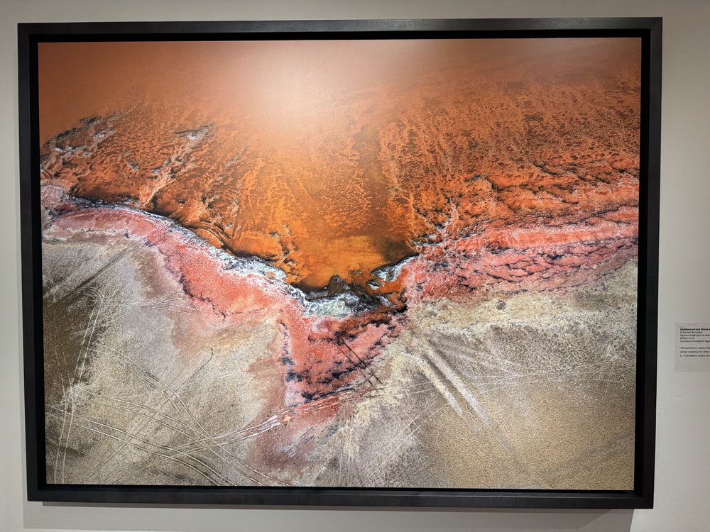 Museums At Washington And Lee University