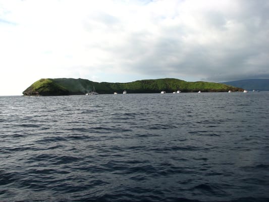 Molokini Crater by null