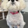 Photo of Clippity Do Da