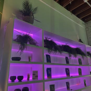 Kavahana - Lounges Near Me - Santa Monica, California