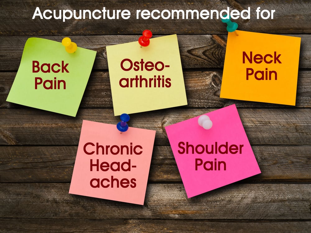 Omnyc Acupuncture Logo