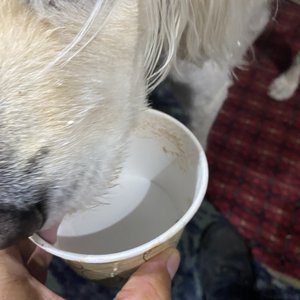 Photo of Jim's Tastee Freez - Delmar, NY, United States