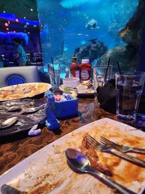 Aquarium Restaurant by null