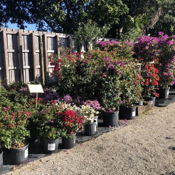 GARDENWORKS - Nurseries & Gardening Near Me - Fort Lauderdale, Florida GARDENWORKS - Nurseries & Gardening Near Me - Fort Lauderdale, Florida