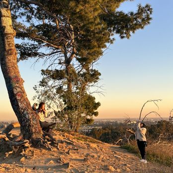 Elysian Park - Broken swing - Parks Near Me - Los Angeles, California